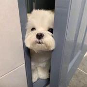 Mr_Pan的个人资料头像