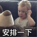 安排得明明白白头像