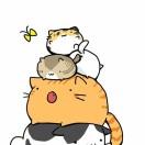 ROBANK的个人资料头像