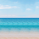 山水好风光的个人资料头像