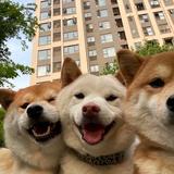 嘿会魔法吧头像