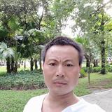 杨刘树596头像