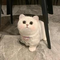 爱吃糯糯米饭头像