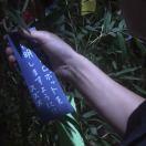 小吴54685的个人资料头像