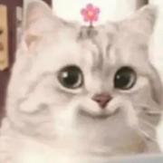 用户4861951375161的个人资料头像