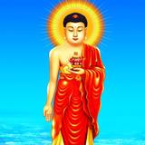 恒娃205头像