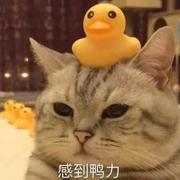 从前从前同学的个人资料头像