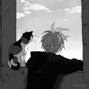 Elysia的个人资料头像