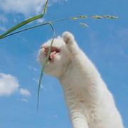 此间少年816的个人资料头像