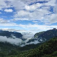 胜者为王大湾区头像