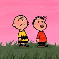 火柴等36.2万人头像