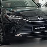 再烟花也只是一瞬间头像