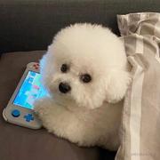 11_hh的个人资料头像