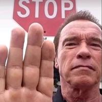 六舅心刺挠头像