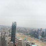 龙秋米头像