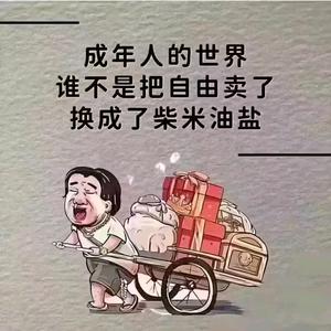 小侯带你淘工作头像