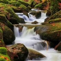 专治网络喷子492头像