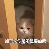 小宇无双头像