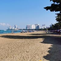 月光照亮赶路人头像