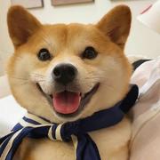 MeetLife的个人资料头像