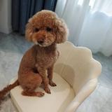 乐乐宝贝0809头像