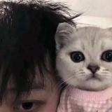 雾起419头像