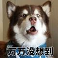 小七来说头像