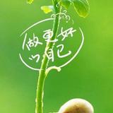 苏城老强头像