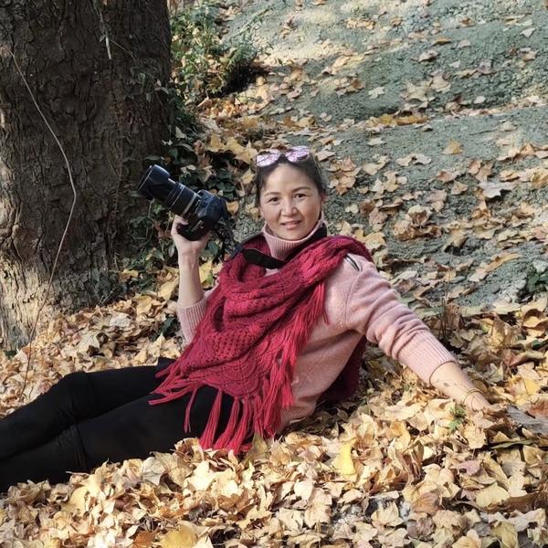 灵灵自驾游头像