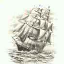 仰望星空本尊89566的个人资料头像