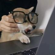 TLX的个人资料头像