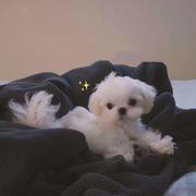 用户7686235515377的个人资料头像