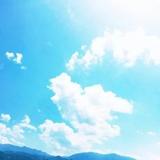 张先生46949头像