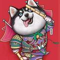 猪哥靓不靓头像