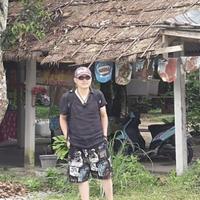 梦中的热带雨林头像