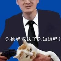 拿个头铁头像