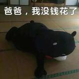 东东一米五头像