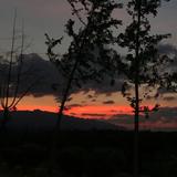 用户2193096090583头像