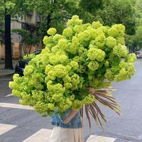 superhero32594668头像