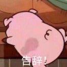 Gogo在掘金的个人资料头像