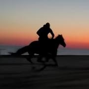 xzy867的个人资料头像