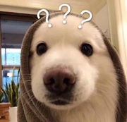 兜夏夏米的个人资料头像