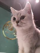 凌云写意的个人资料头像