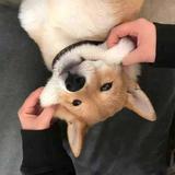 南北8837头像