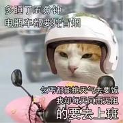 欣欣聊AI的个人资料头像