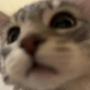 好多鱼218的个人资料头像