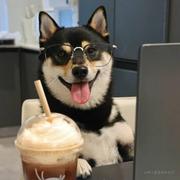a无名的个人资料头像