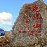 伟伟道来66头像
