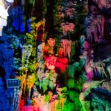 聪明伊夫林4y1头像