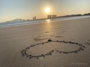 嚎叫的青春B的个人资料头像